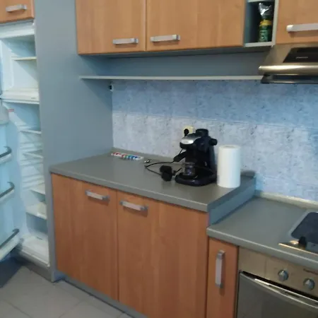 Vila Tismana Apartment *