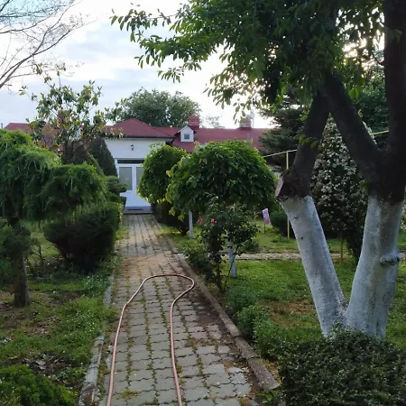 Apartment Vila Tismana